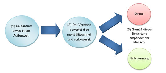 Stress entsteht in drei Phasen