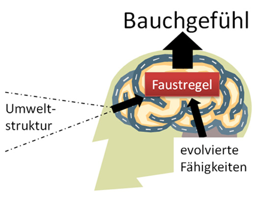 Bauchgefühl nach Gerd Gigerenzer