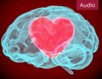 Entwicklung der emotionalen Intelligenz