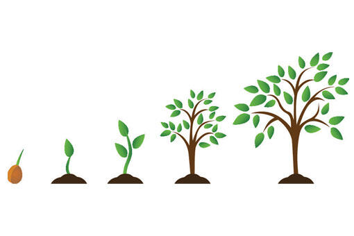 Grow Grow