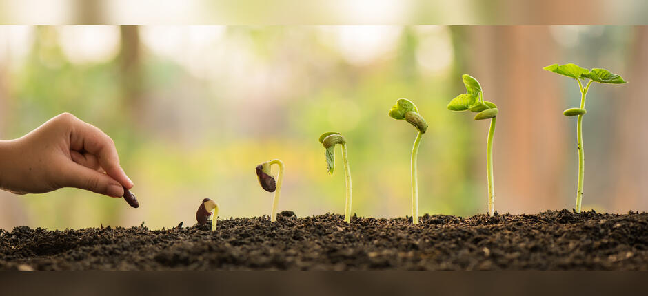 So gelingt ein erfolgreicher Projektstart mit guter Planung