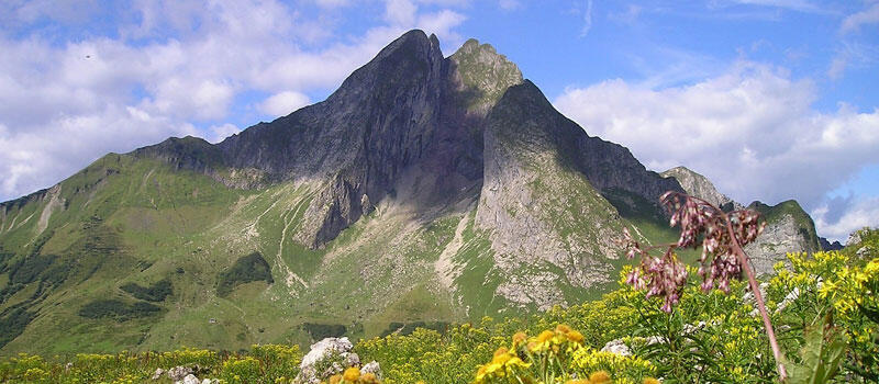 So planen Sie Ihren Tag mit der ALPEN-Methode So planen Sie Ihren Tag mit der ALPEN-Methode