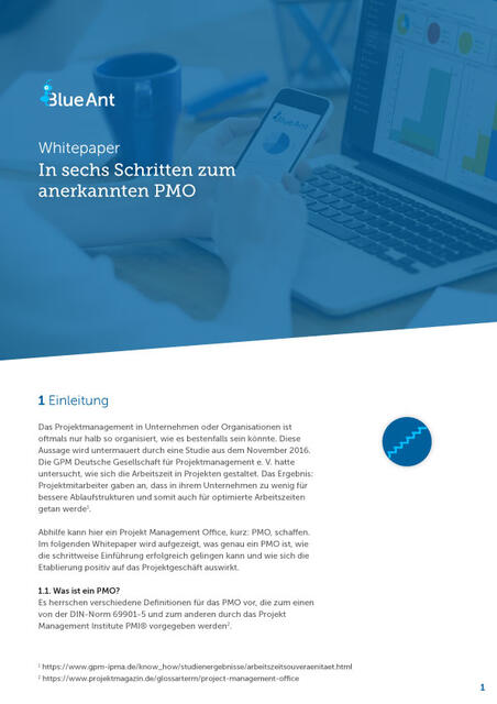 erfolgreiches pmo