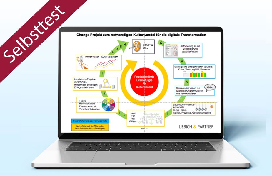Reifegradanalyse | Selbsttest Excel & PDF