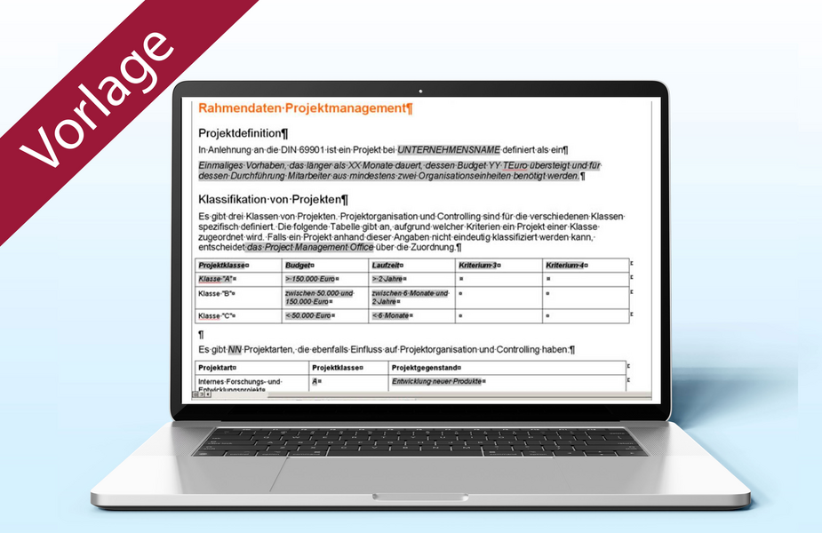Vorlage für Projektorganisationsblatt