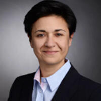 Arzu Gidengil