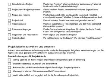 projektauftraggeber aufgaben