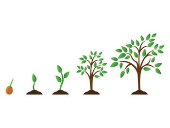 Grow