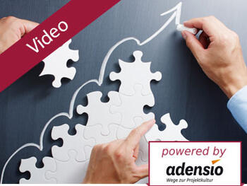 Trotz fehlender Strategie in 6 Schritten zum strategischen Portfoliomanagement Trotz fehlender Strategie in 6 Schritten zum strategischen Portfoliomanagement