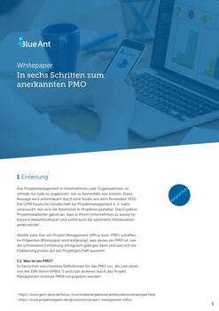 erfolgreiches pmo