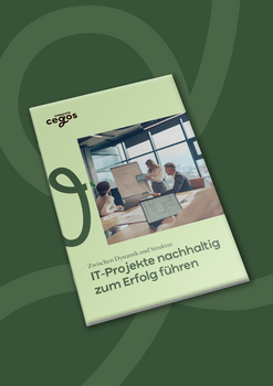 IT-Projekte nachhaltig zum Erfolg führen