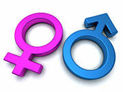 Karriere von Frauen und Männern im Projektmanagement Karriere von Frauen und Männern im Projektmanagement